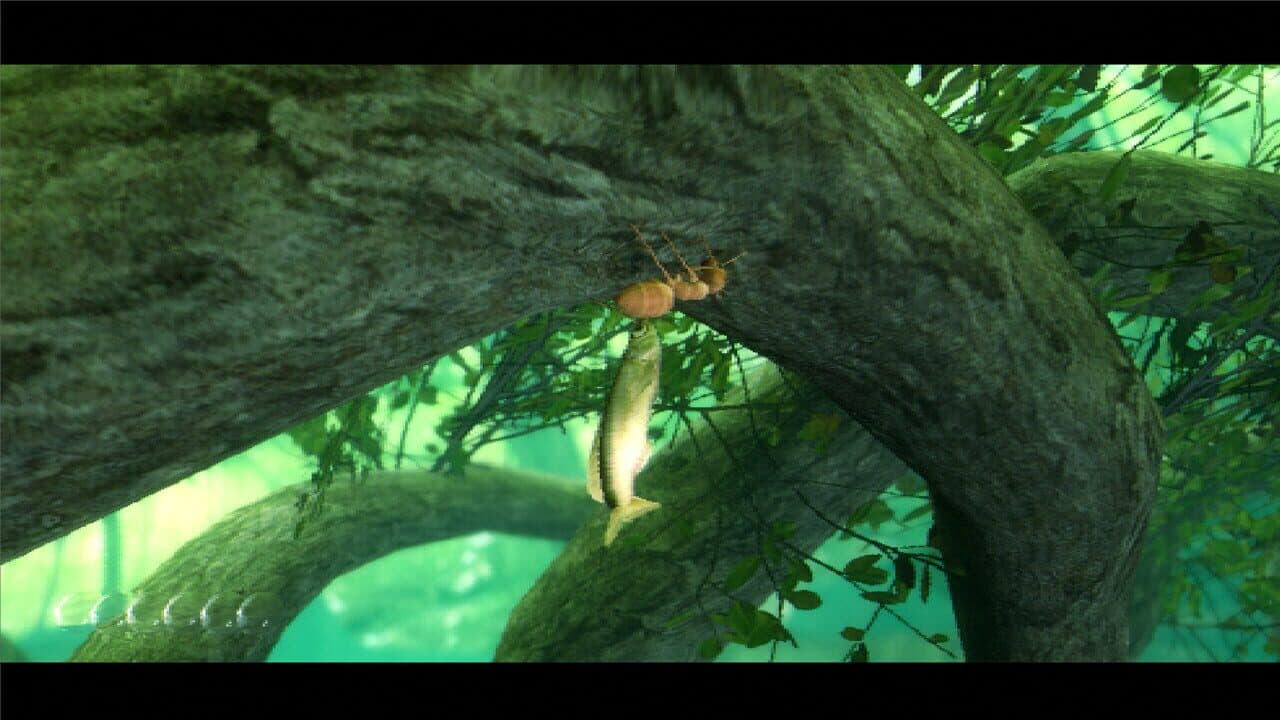 Eating Nature thumbnail 4
