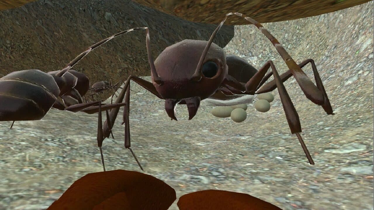Ant Simulator 3D thumbnail 2