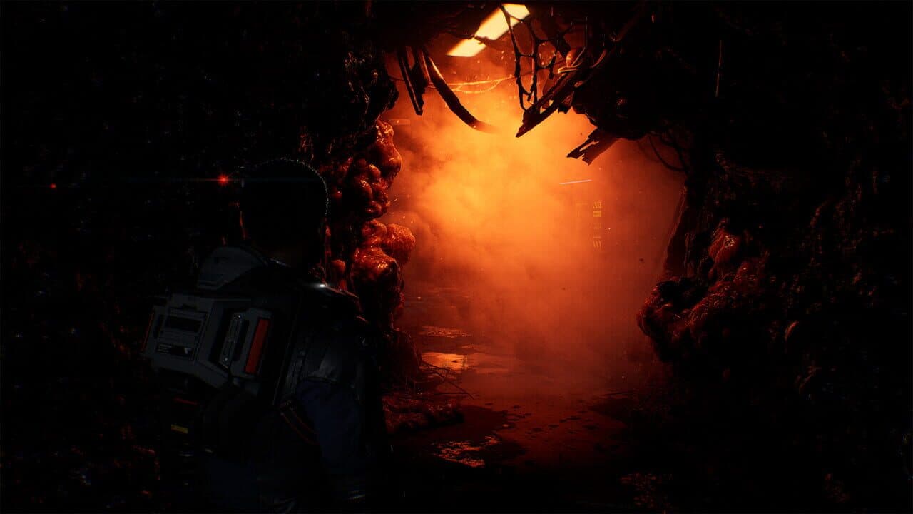 Directive 8020 thumbnail 6