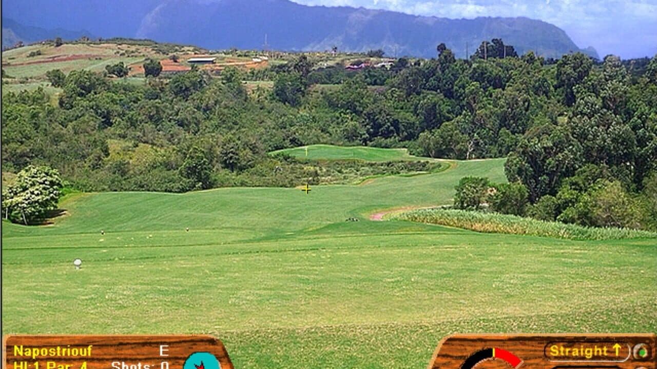 Picture Perfect Golf thumbnail 11