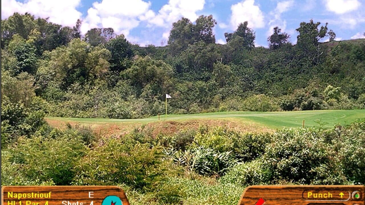 Picture Perfect Golf thumbnail 8