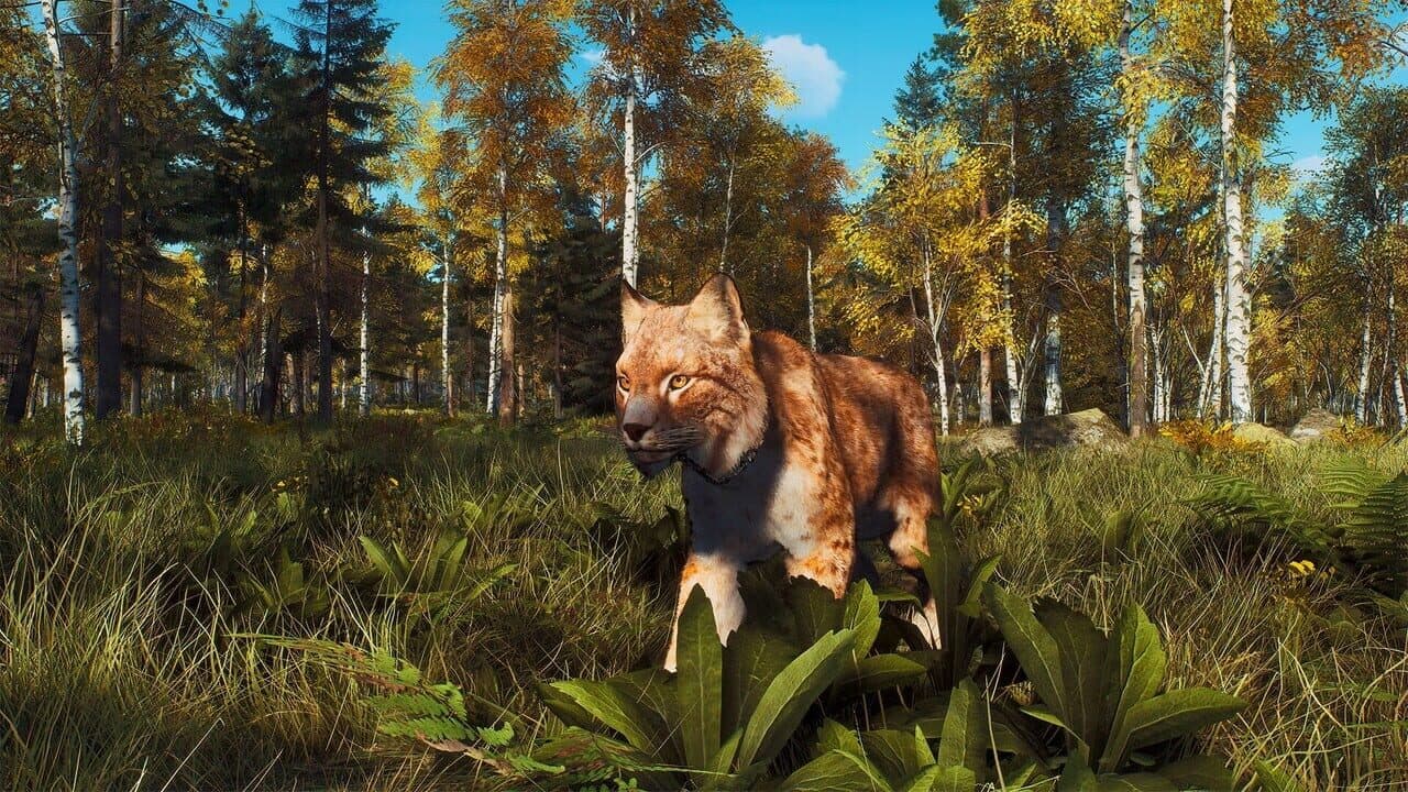 Way of the Hunter: Lintukoto Reserve thumbnail 3