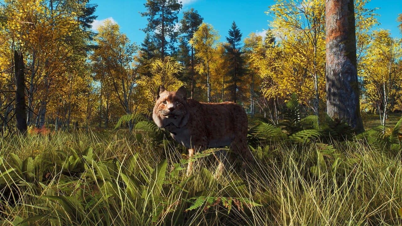 Way of the Hunter: Lintukoto Reserve thumbnail 4