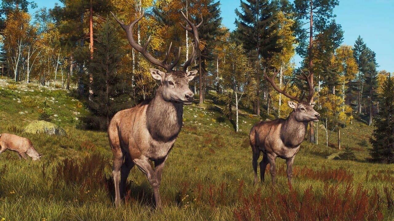 Way of the Hunter: Lintukoto Reserve thumbnail 5