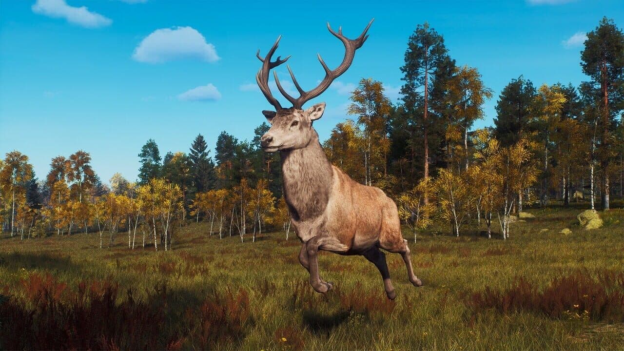 Way of the Hunter: Lintukoto Reserve thumbnail 6