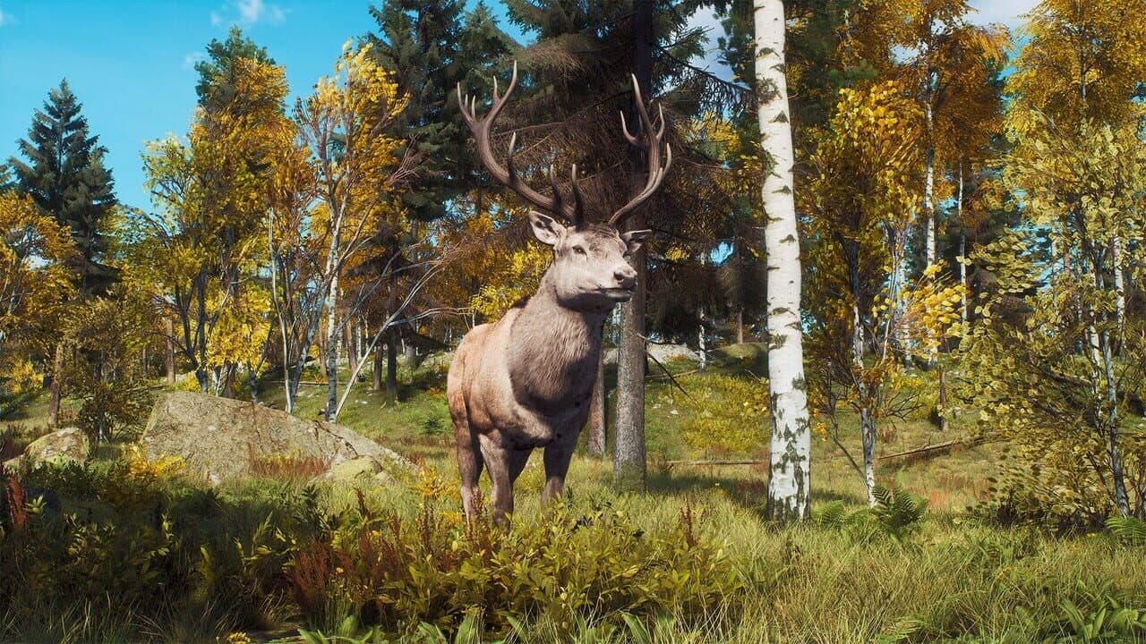 Way of the Hunter: Lintukoto Reserve thumbnail 7