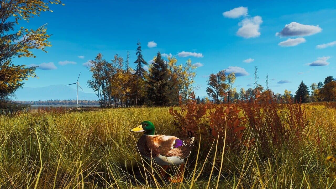 Way of the Hunter: Lintukoto Reserve thumbnail 8