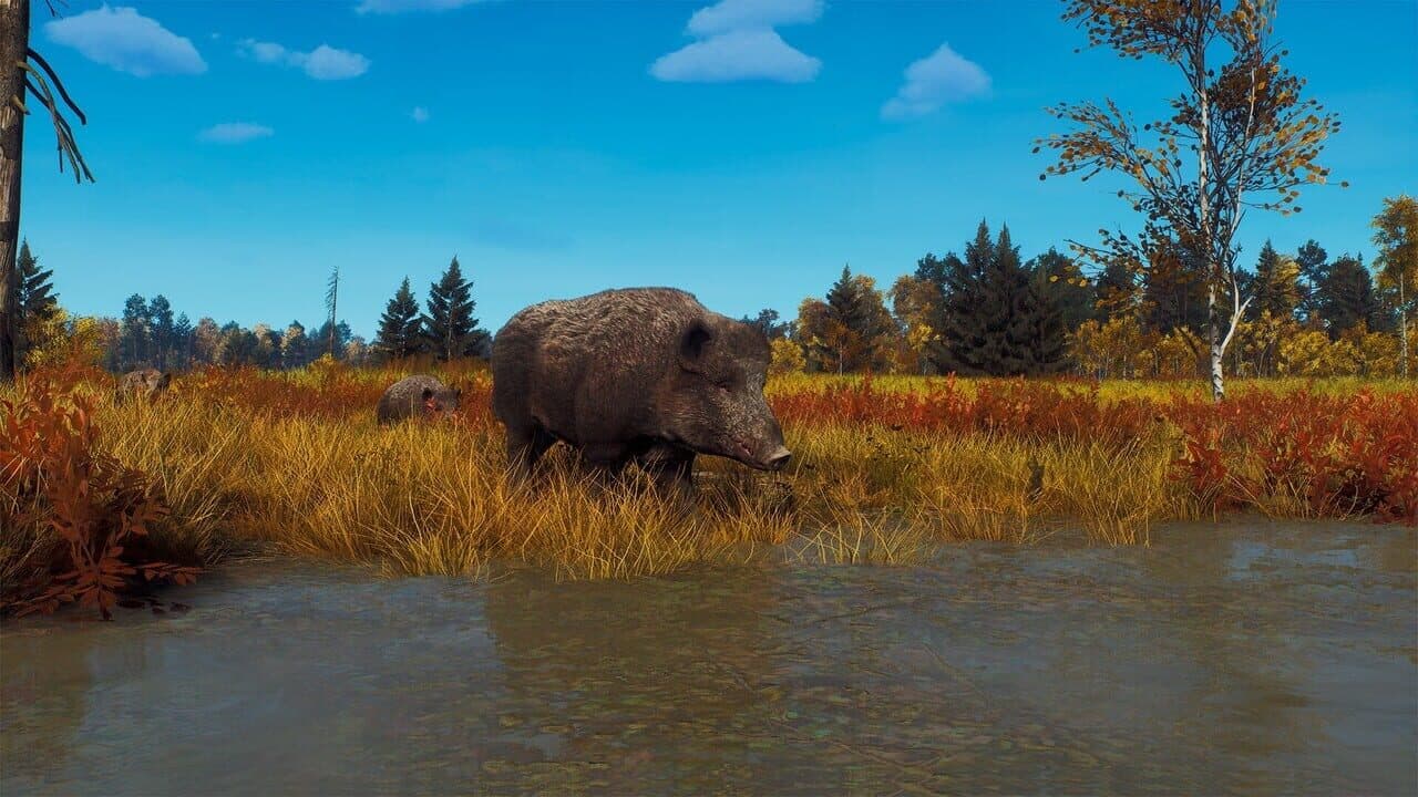 Way of the Hunter: Lintukoto Reserve thumbnail 12