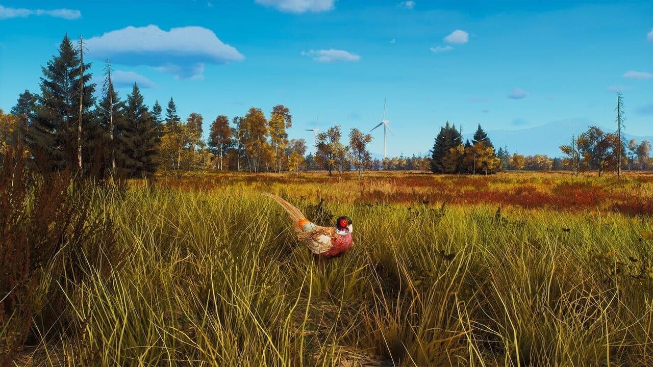Way of the Hunter: Lintukoto Reserve thumbnail 14