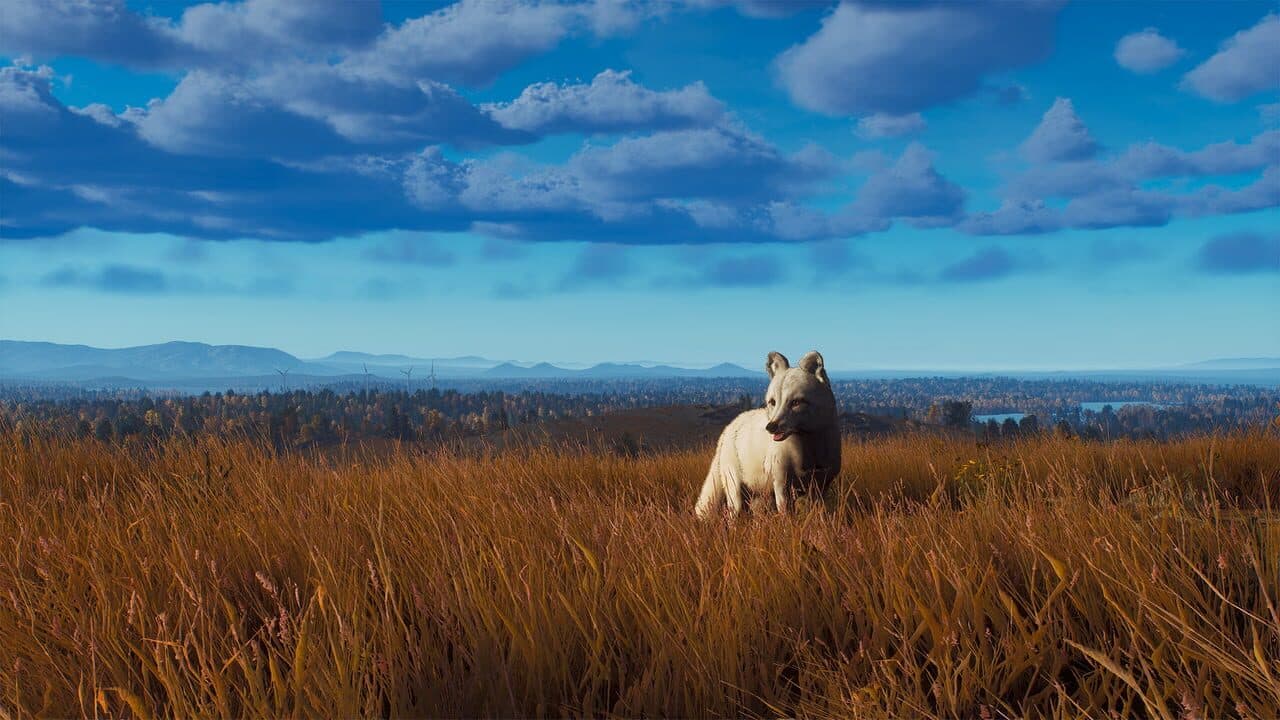 Way of the Hunter: Lintukoto Reserve thumbnail 15