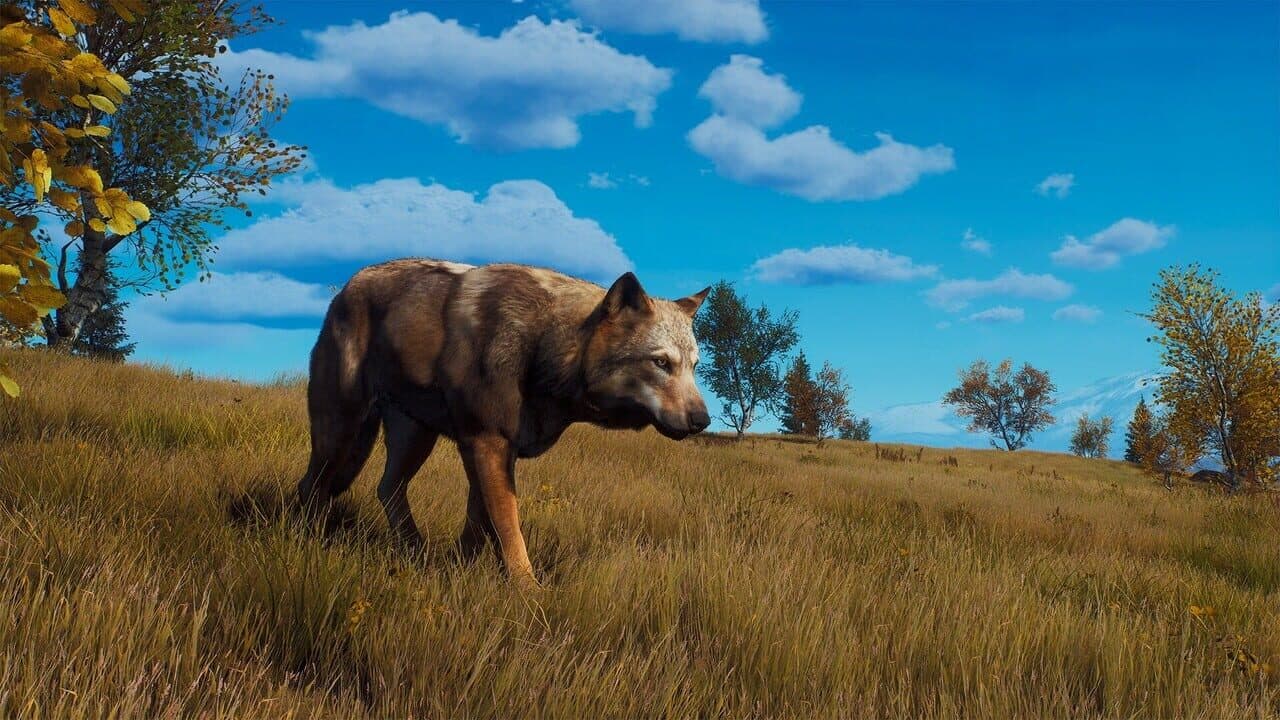 Way of the Hunter: Lintukoto Reserve thumbnail 16