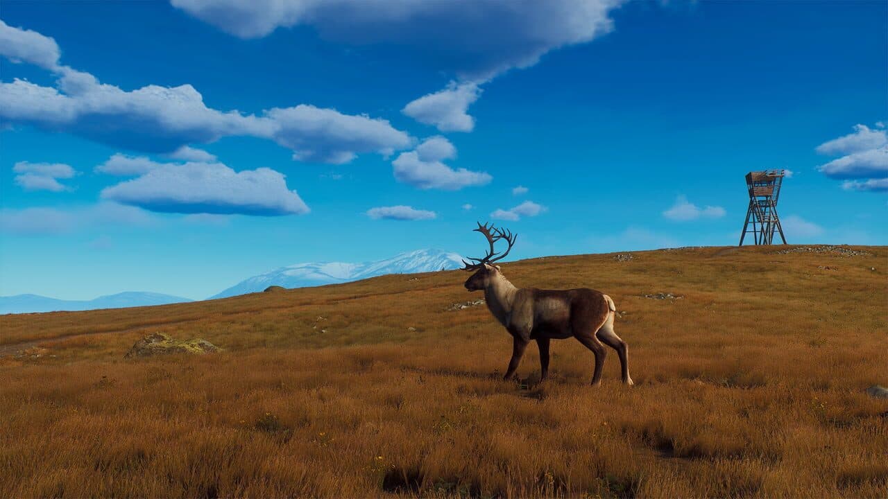 Way of the Hunter: Lintukoto Reserve thumbnail 17