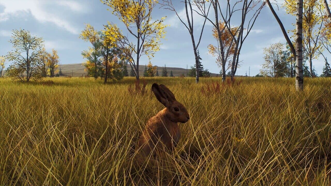 Way of the Hunter: Lintukoto Reserve thumbnail 18