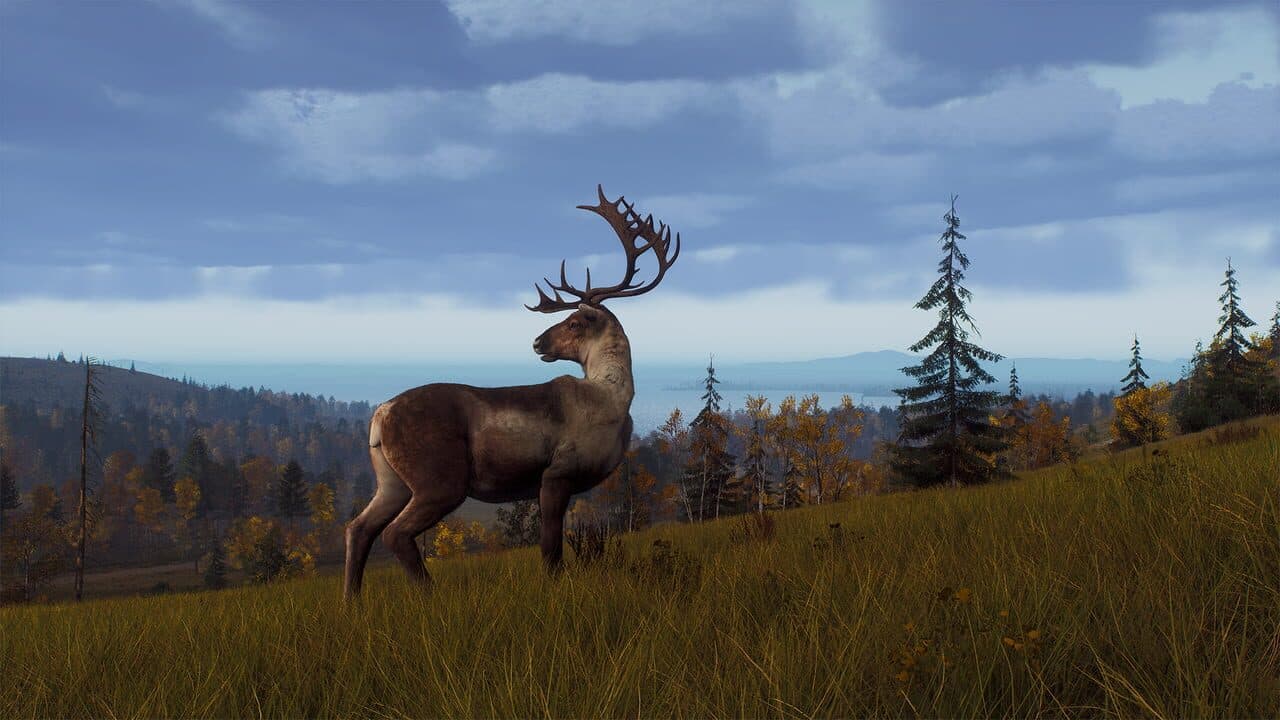 Way of the Hunter: Lintukoto Reserve thumbnail 19