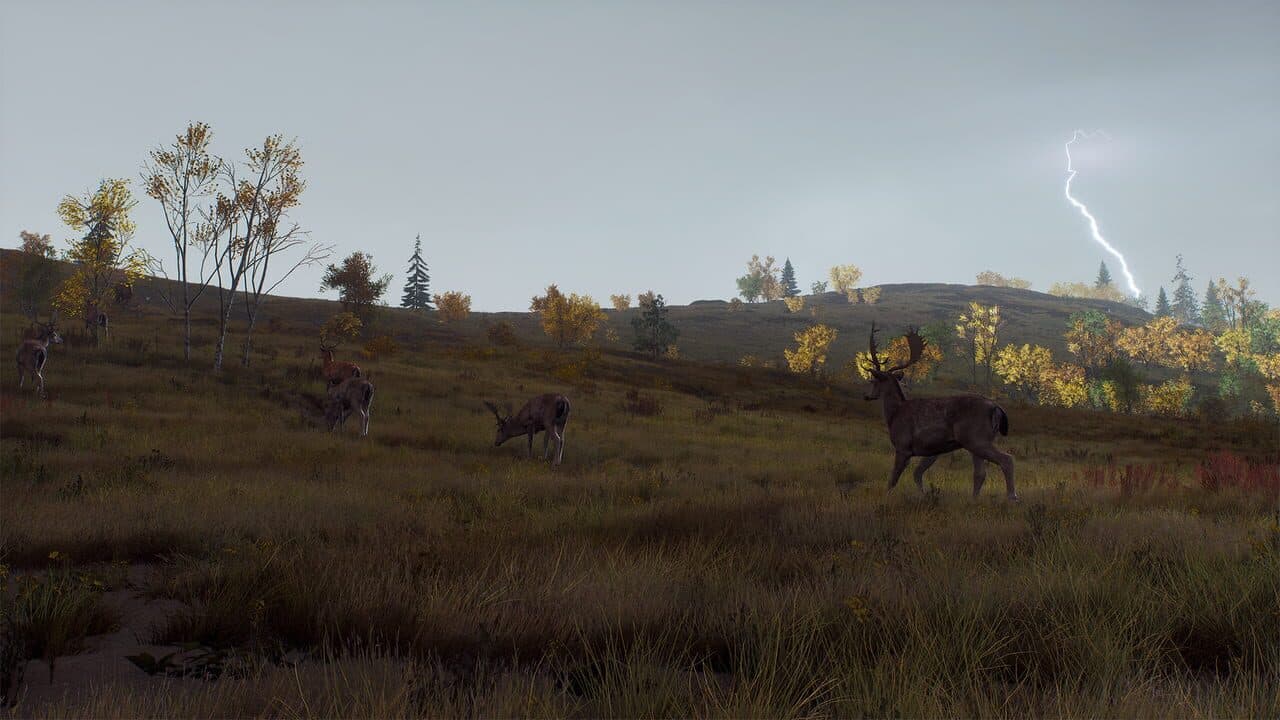 Way of the Hunter: Lintukoto Reserve thumbnail 20