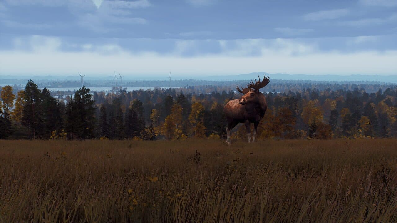 Way of the Hunter: Lintukoto Reserve thumbnail 21