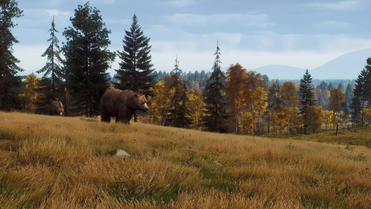 Way of the Hunter: Lintukoto Reserve thumbnail 22