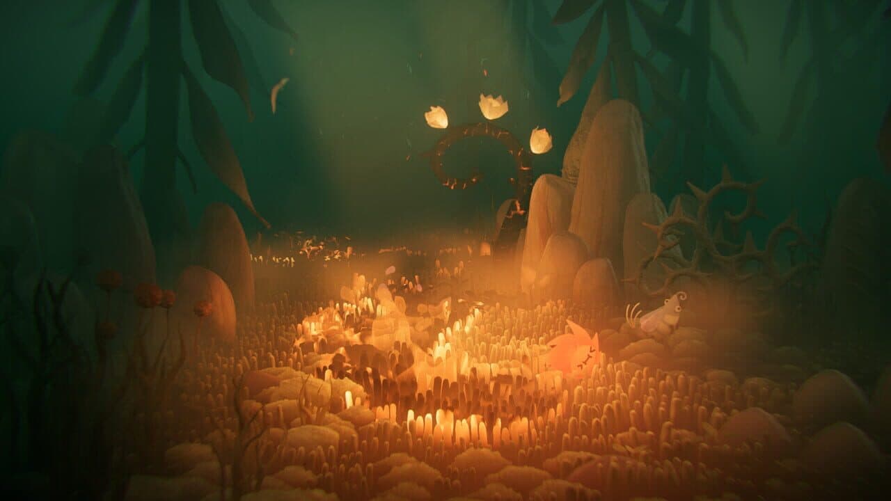 Pirofauna thumbnail 3