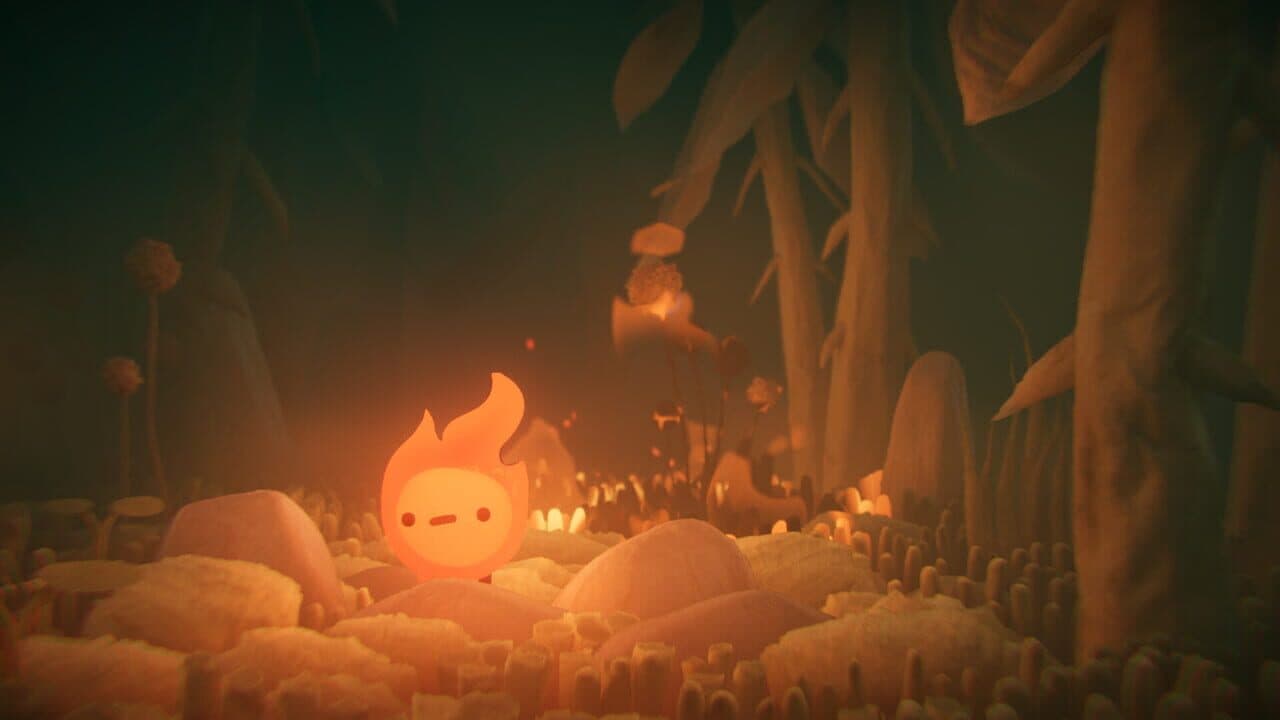 Pirofauna thumbnail 5
