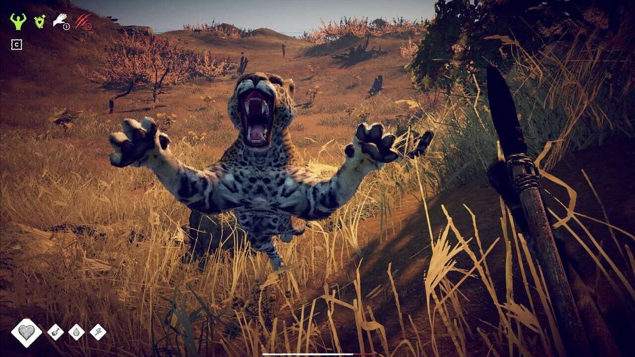 Survival: Fountain of Youth - Captain's Edition thumbnail 6