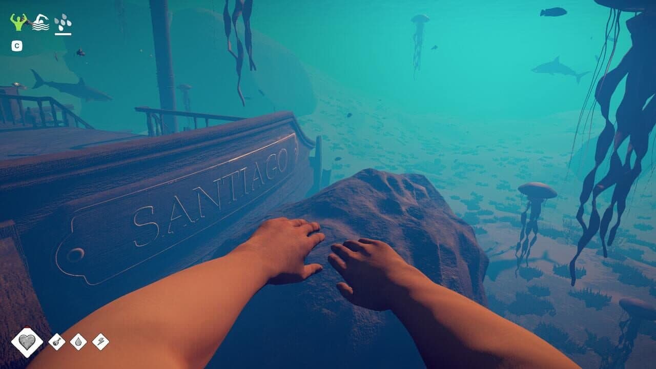 Survival: Fountain of Youth - Captain's Edition thumbnail 8