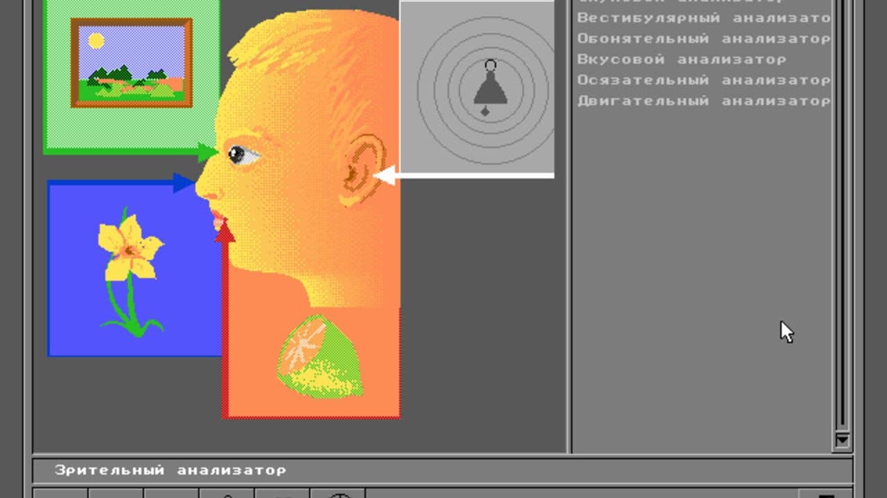 Body Quest thumbnail 9
