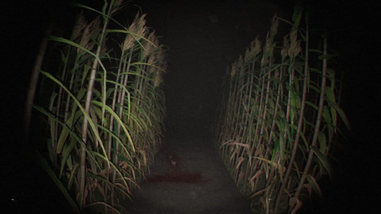 Unknown Tapes thumbnail 2