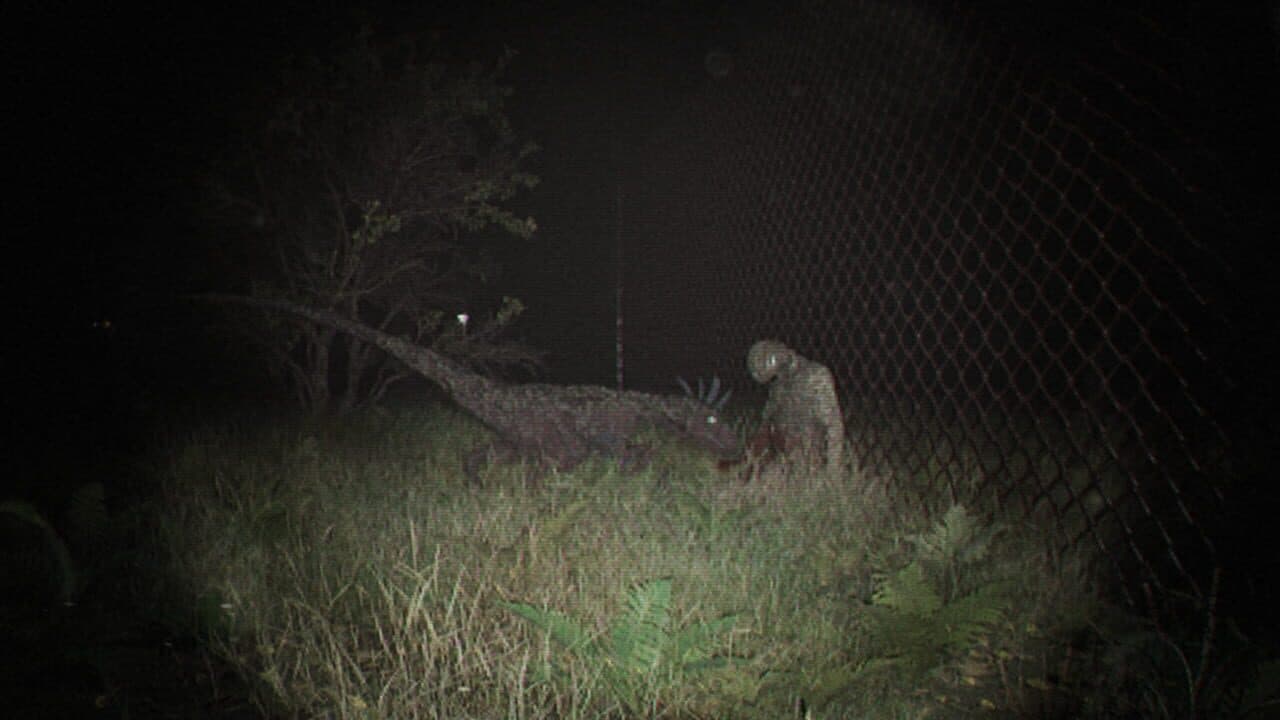 Unknown Tapes thumbnail 3