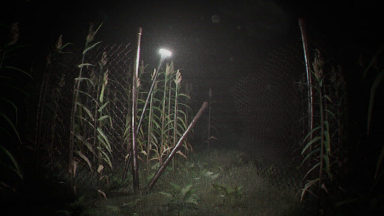 Unknown Tapes thumbnail 7