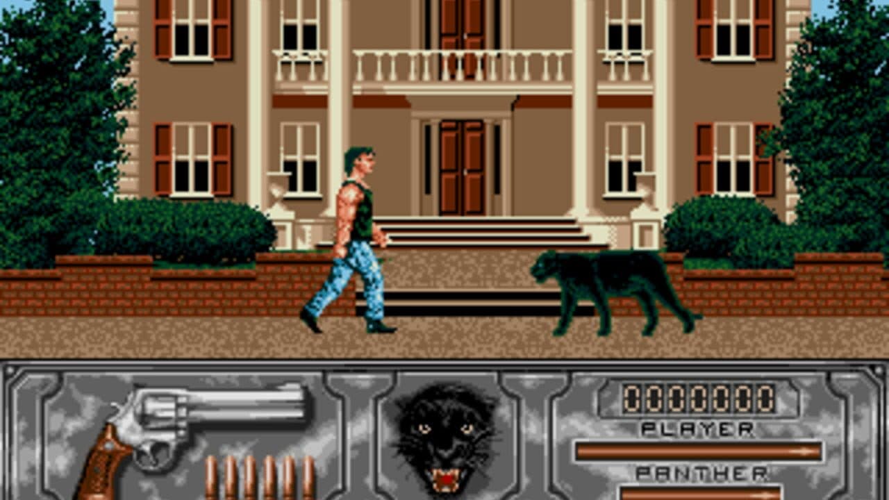 Wild Streets screenshot 1