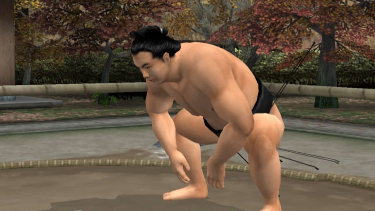 Nihon Sumo Kyokai Kounin: Nihon Oozumou Gekitou Honbasho-hen thumbnail 4