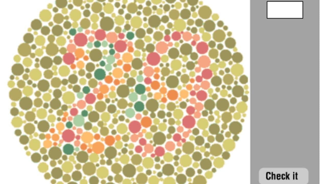 Color Vision Deficiency Test thumbnail 4