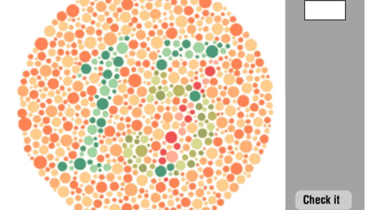 Color Vision Deficiency Test thumbnail 3