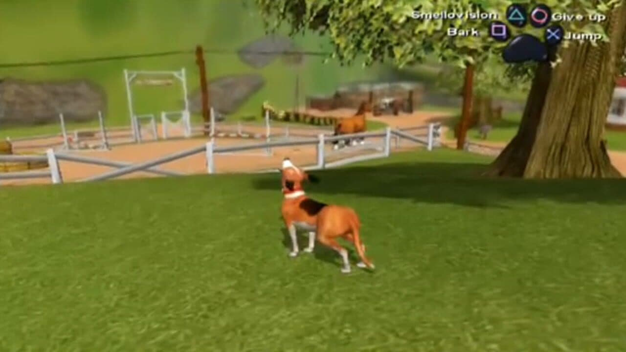 Dog's Life thumbnail 6