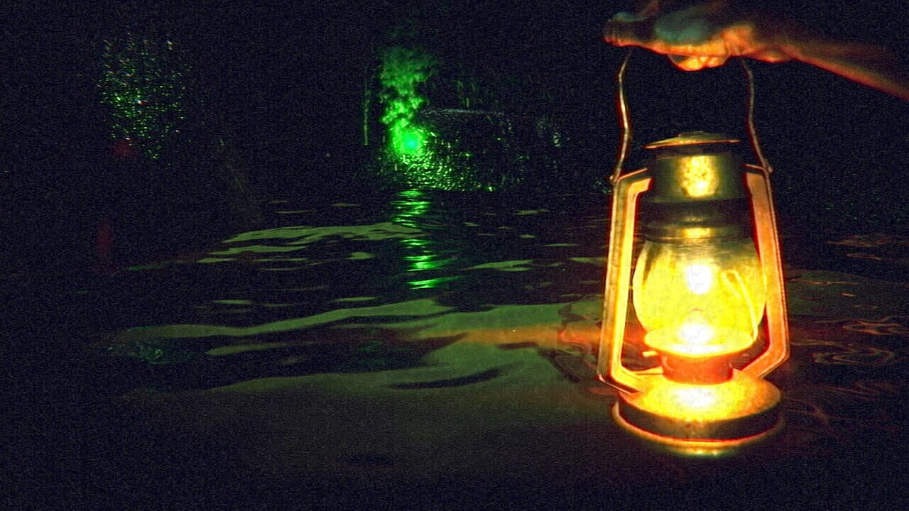 Terror In The Corn thumbnail 11