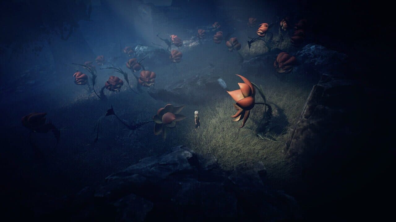Ayasa: Shadows of Silence thumbnail 3