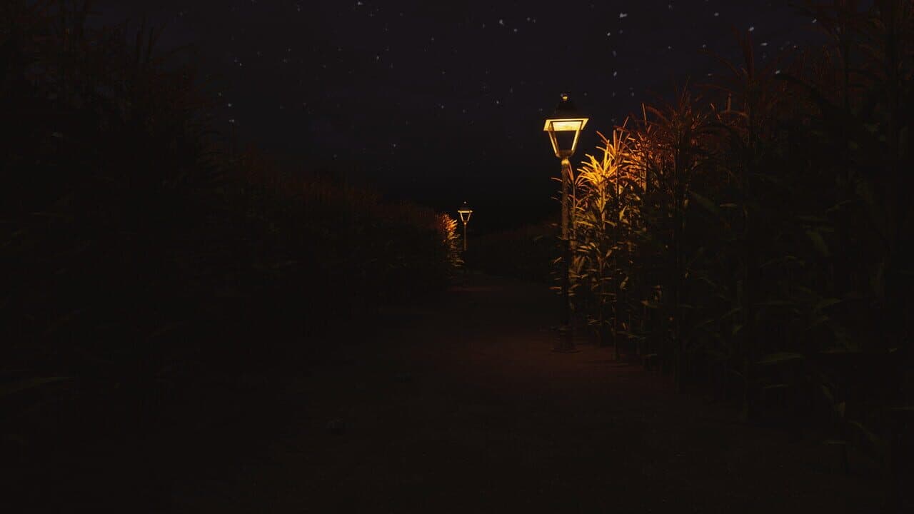 CornField thumbnail 5