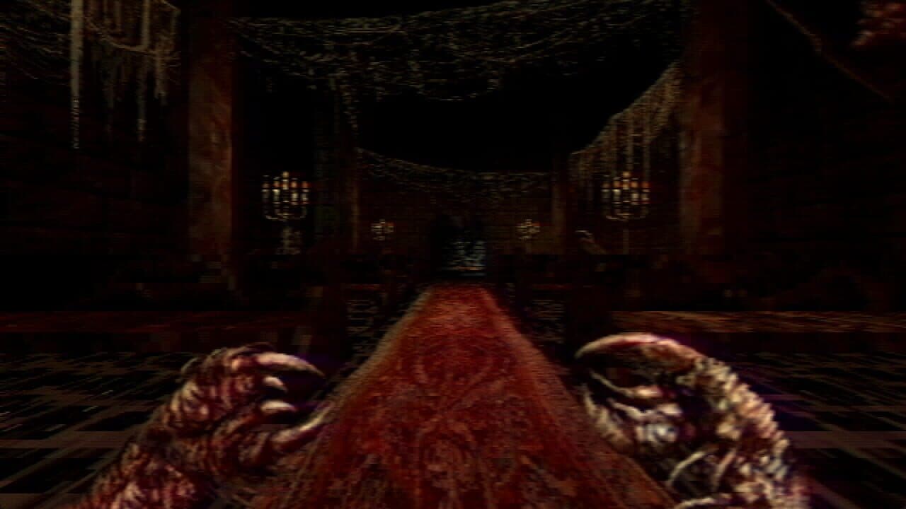 Navicula Meatus thumbnail 5