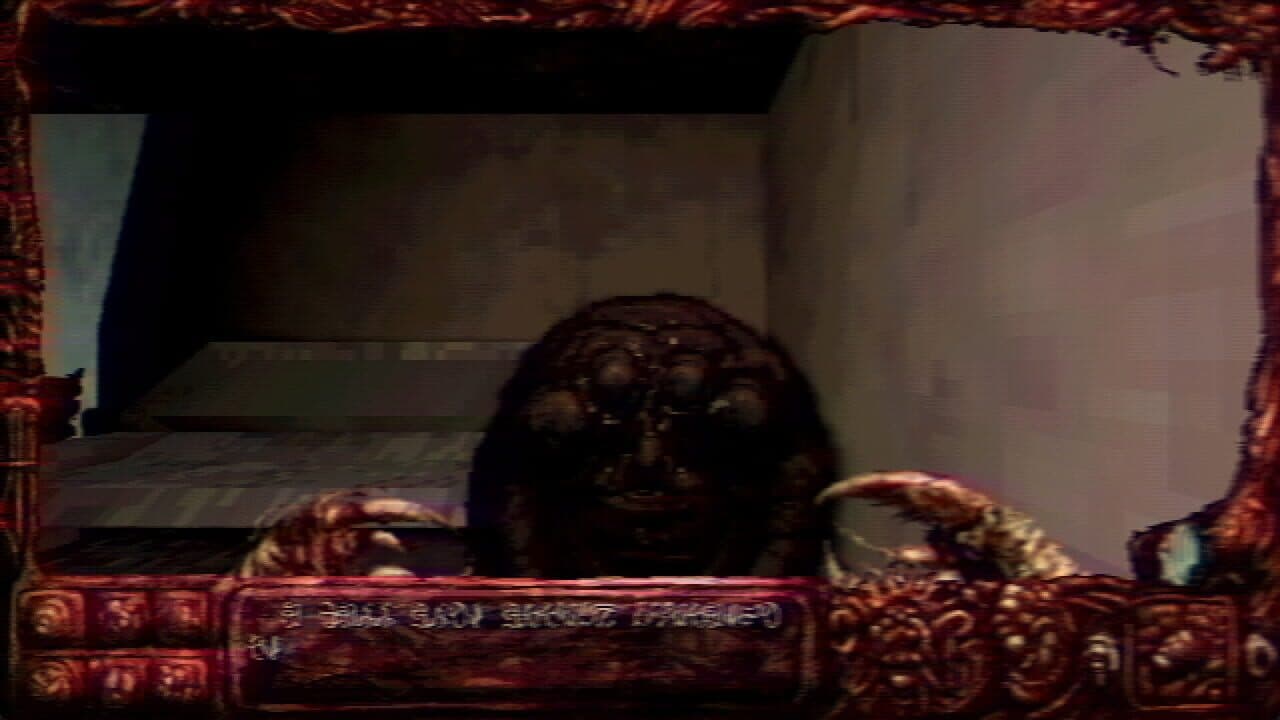 Navicula Meatus thumbnail 6