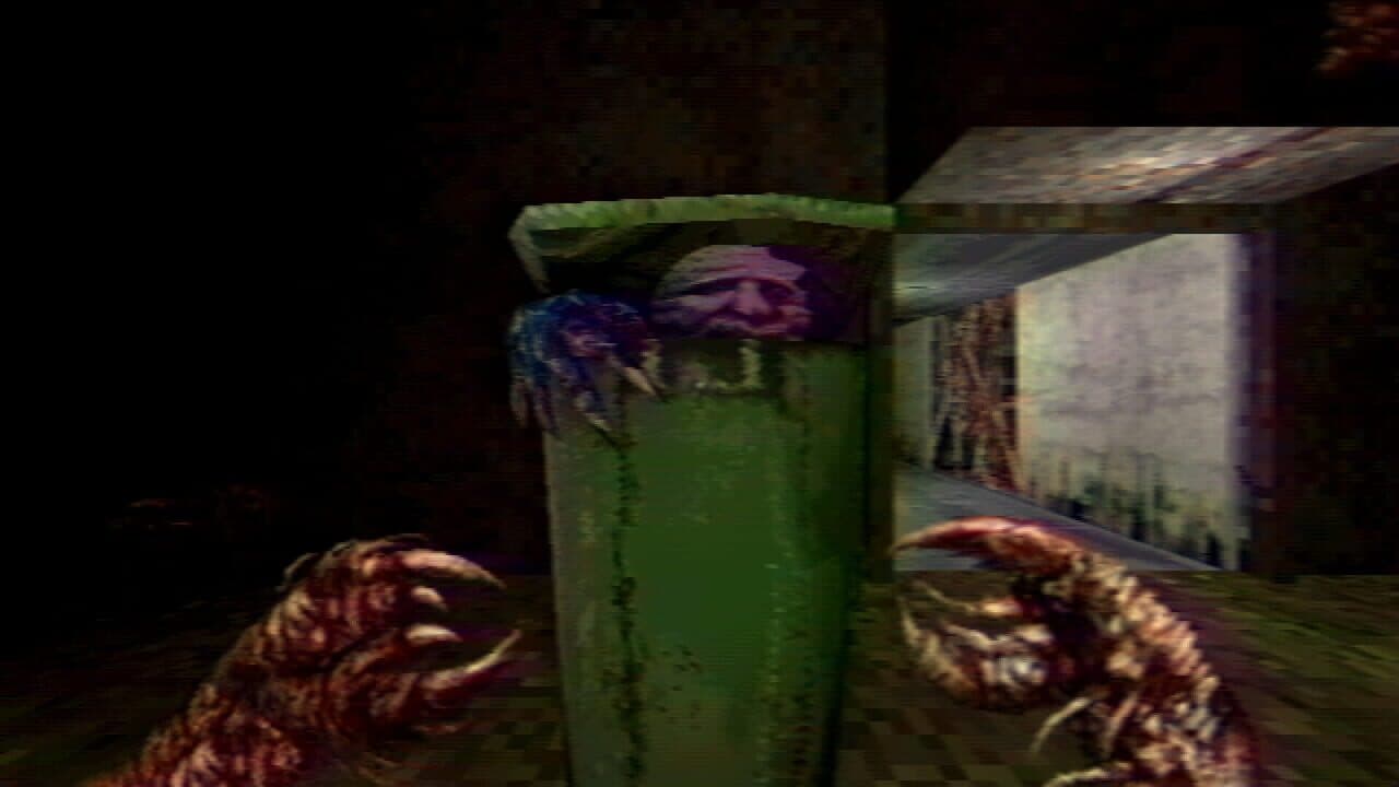 Navicula Meatus thumbnail 2
