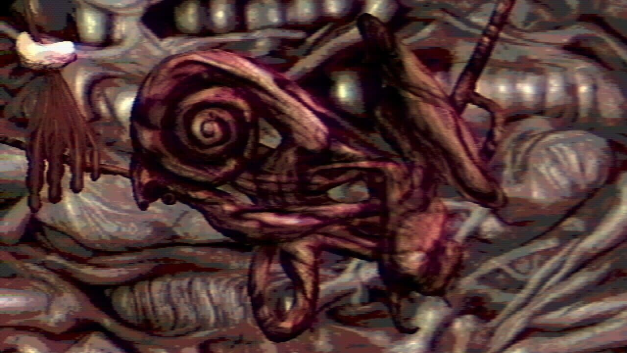 Navicula Meatus thumbnail 3