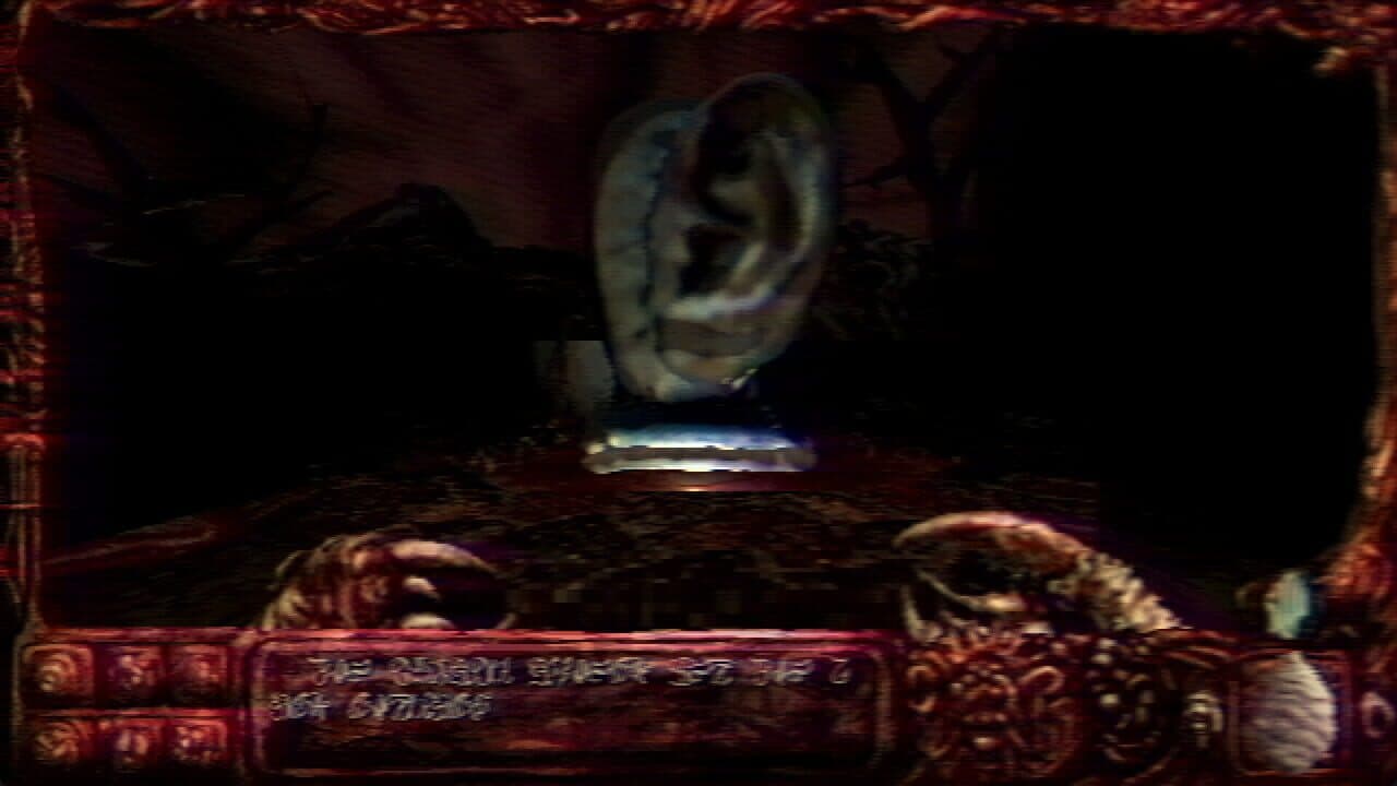 Navicula Meatus thumbnail 4