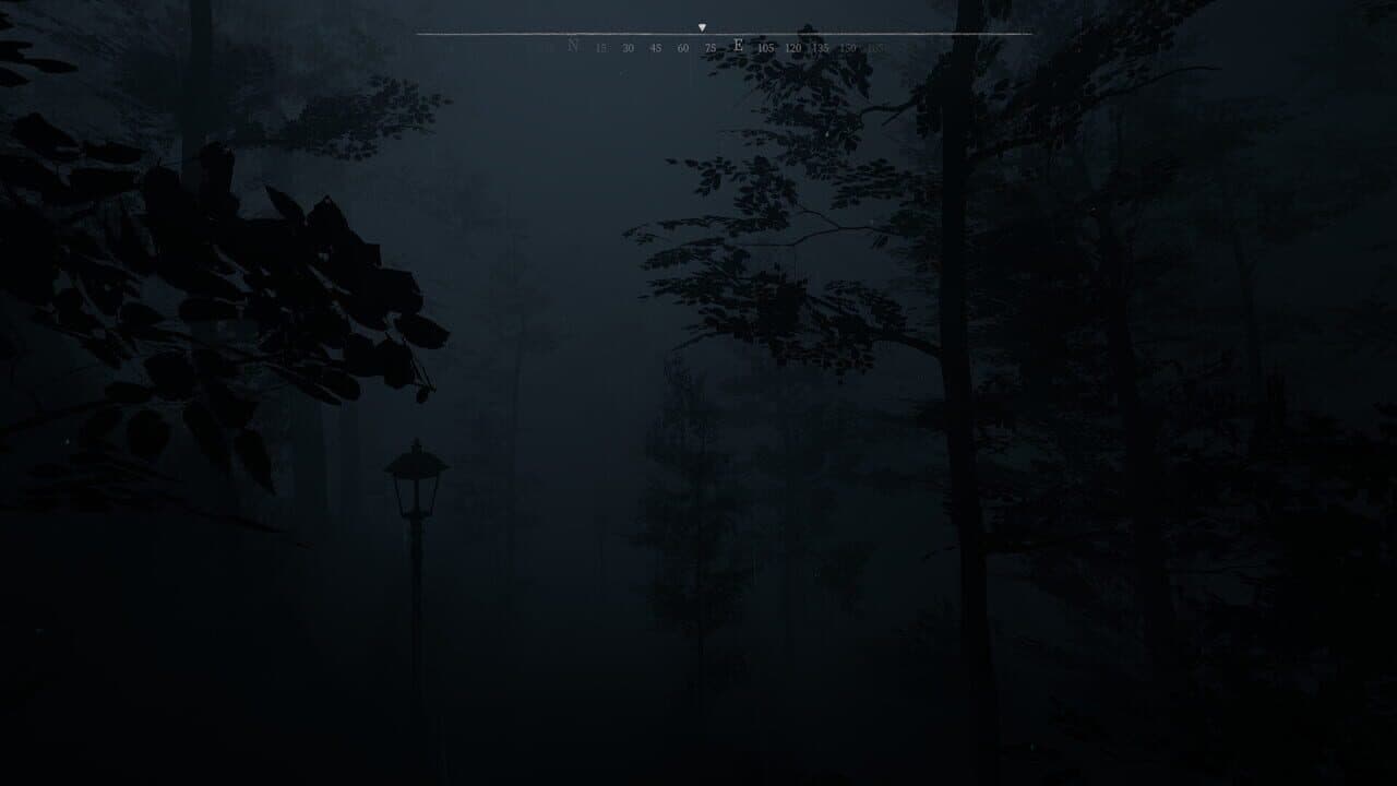 Entwine thumbnail 3