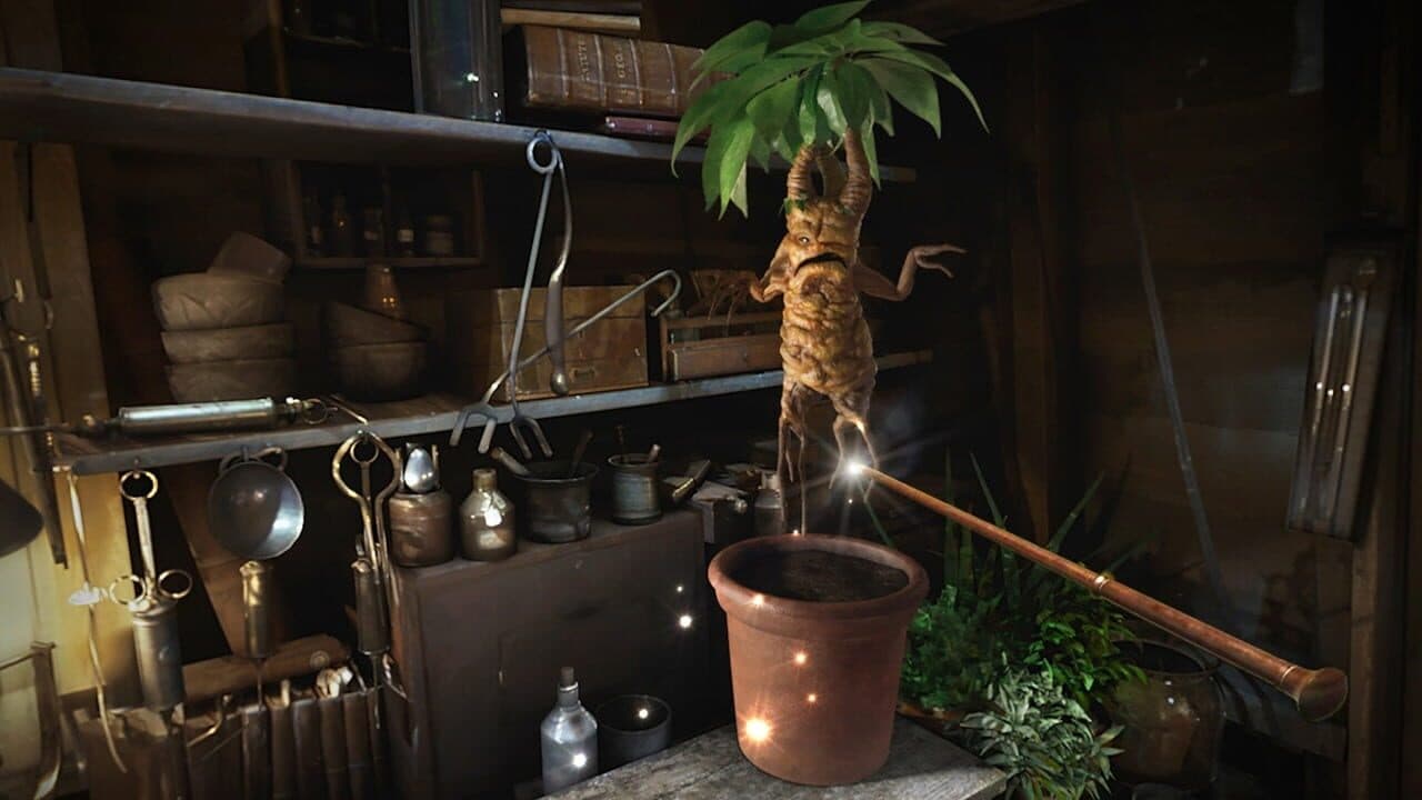 Fantastic Beasts and Where to Find Them: VR Experience thumbnail 4