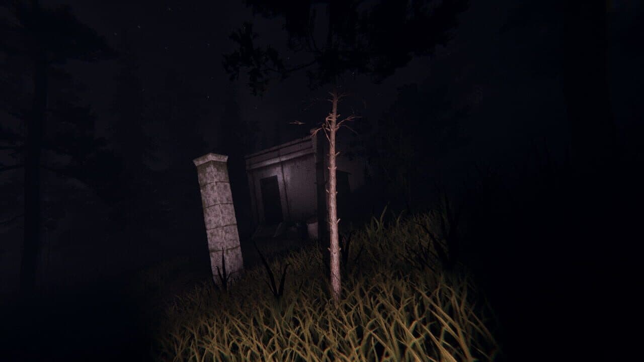 Slender: Dark Woods thumbnail 3