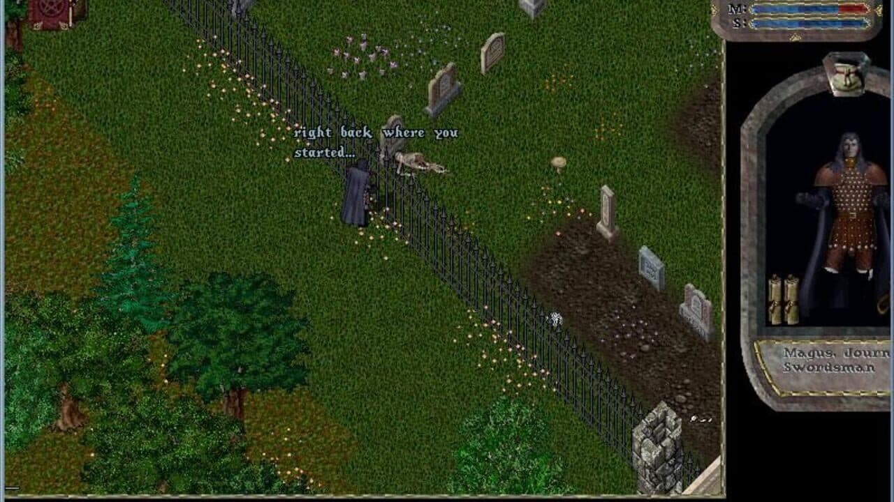 Ultima Online: Renaissance thumbnail 2