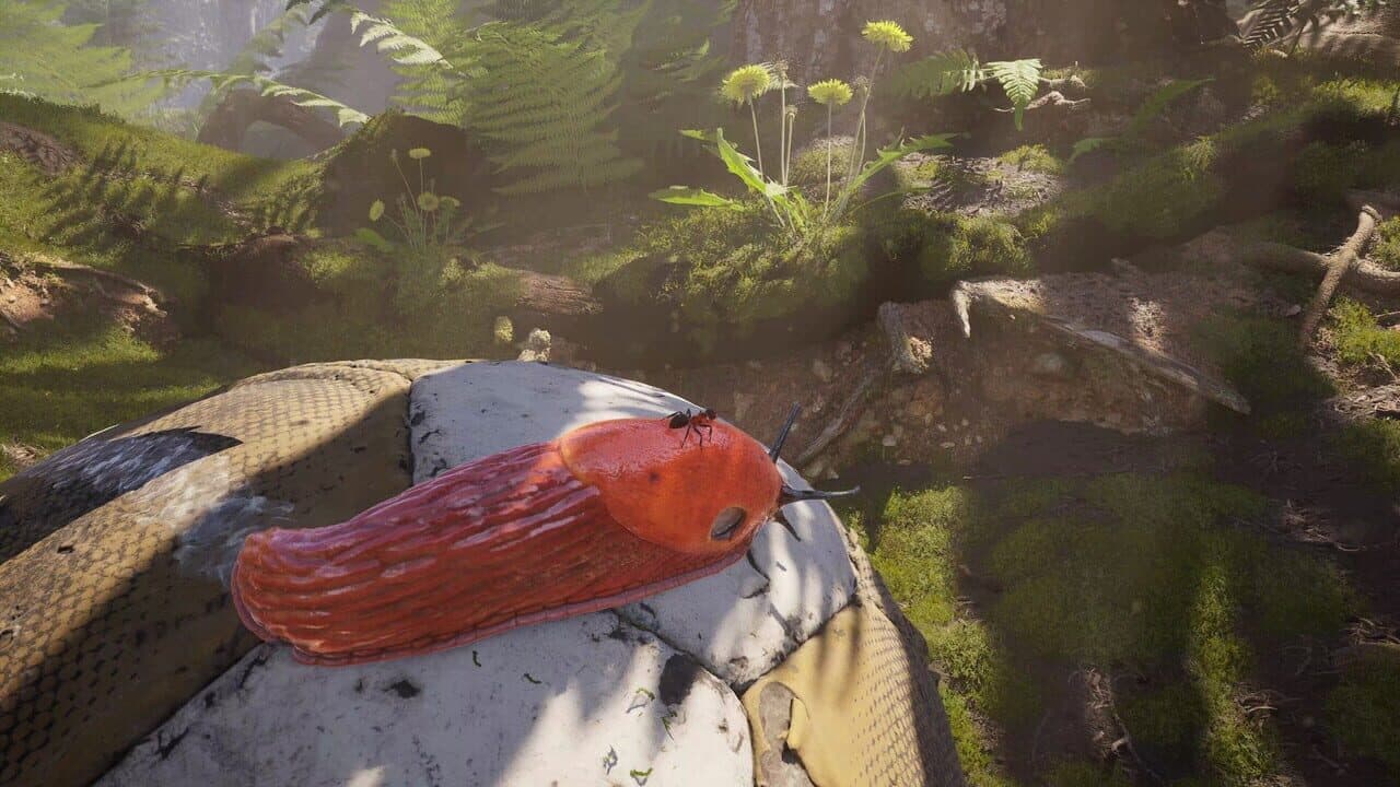 Empire of the Ants: Digital Deluxe Edition thumbnail 3