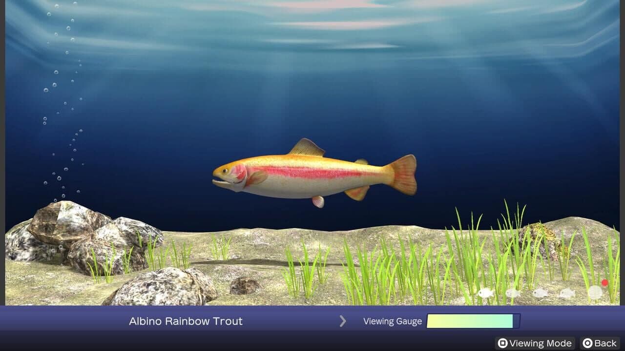 Reel Fishing: Days of Summer thumbnail 5