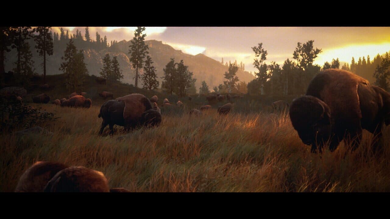 Hunting Simulator 3 thumbnail 2