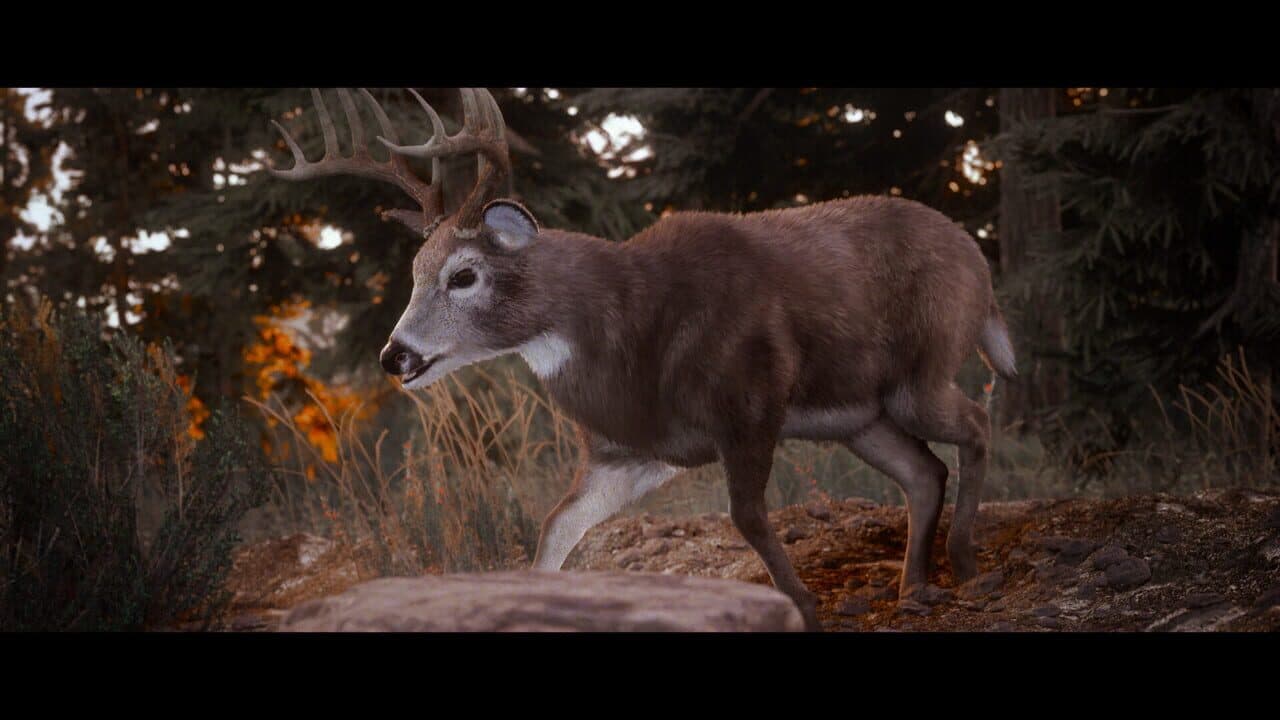 Hunting Simulator 3 thumbnail 3